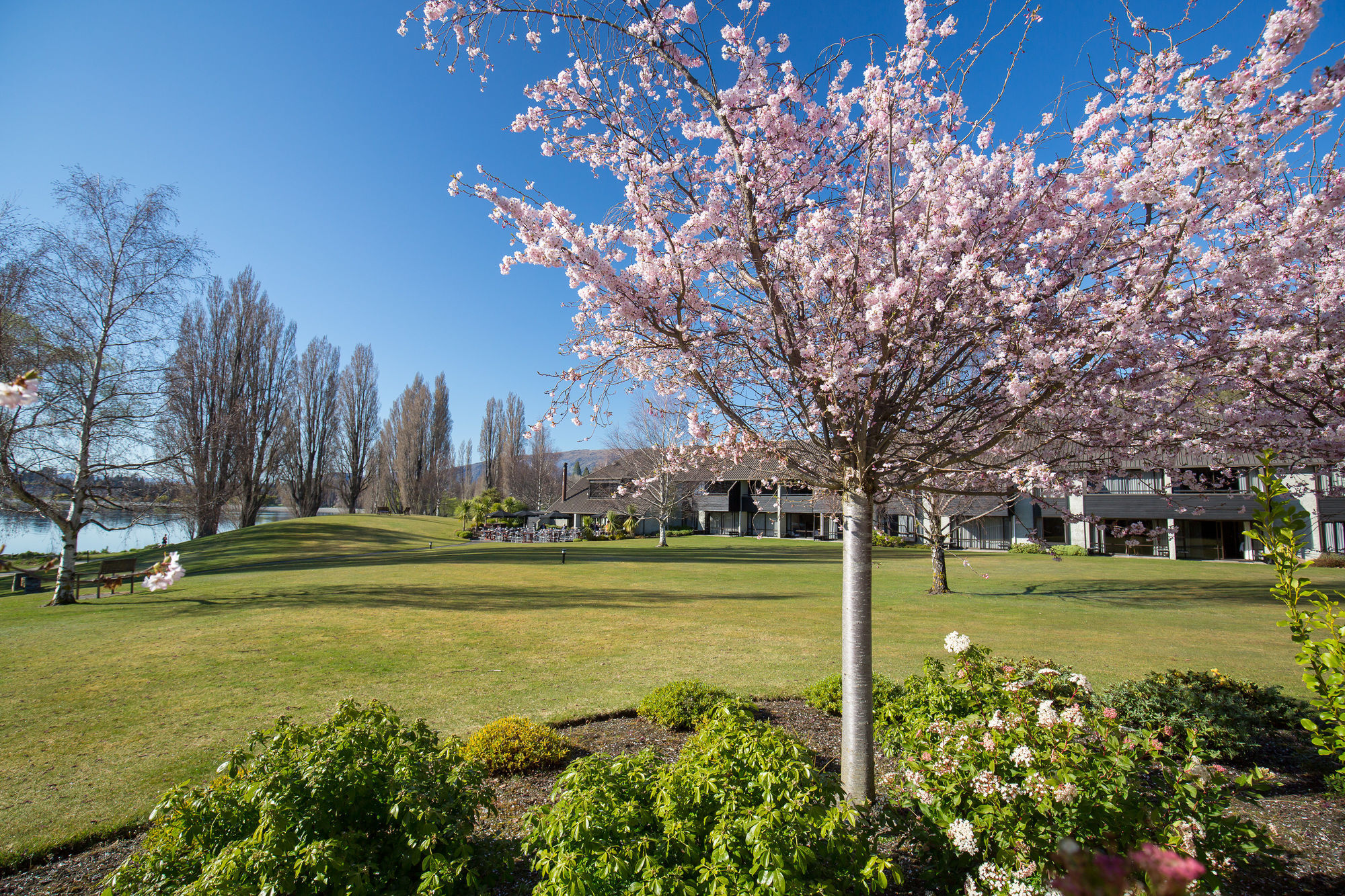 เอดจวอเท่อร์ โฮเต็ล Hotel วานากา ภายนอก รูปภาพ